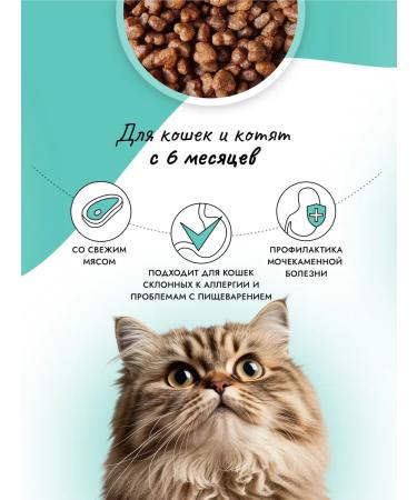 Best dinner Cat food dry turkey mint 1.5 kg - Buy Online on GoSupps.com