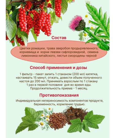 Altai cedar Fitochi Altai 16 Phytotonik with lemonnik 20 f p 2UP - Buy Online on GoSupps.com