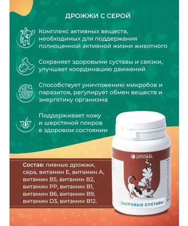 VAKA Brewery with gray for dogs and cats - Buy Online on GoSupps.com