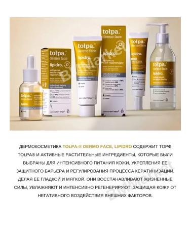 CROWD Face cream Nutrum regenerating day lipidro - Buy Online on GoSupps.com