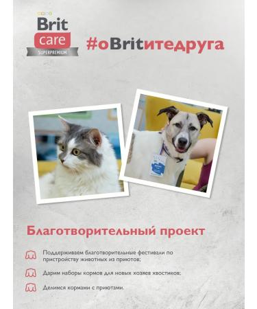 Brit Care Dry food with turkey and duck for cats 0.4kg - Buy Online on GoSupps.com