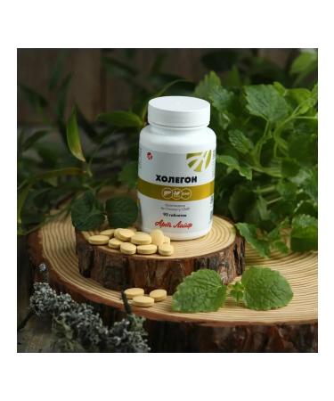 Art Life Holegon a complex for the pancreas and gastrointestinal tract