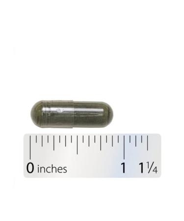 Nature's Way Nettle Leaf - Buy Online on GoSupps.com