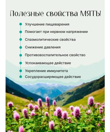 Ivan-tea workshop Vyshegorye Mint for tea grass - Buy Online on GoSupps.com