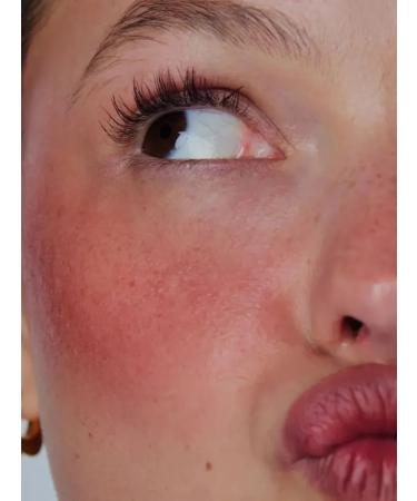 Rhode Boraman in the style of Toasted Teddy - Buy Online on GoSupps.com