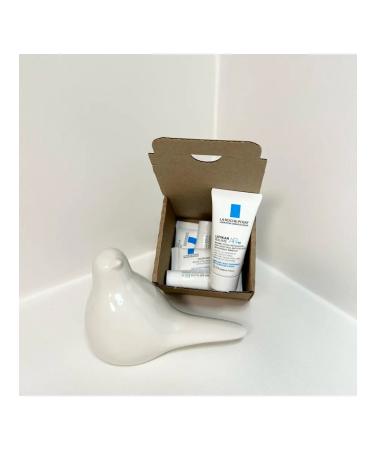 LA Roche-Posay Cicaplast Baume B5+ 5pcs. Lipikar Baume Ap+ 1pc - Buy Online on GoSupps.com