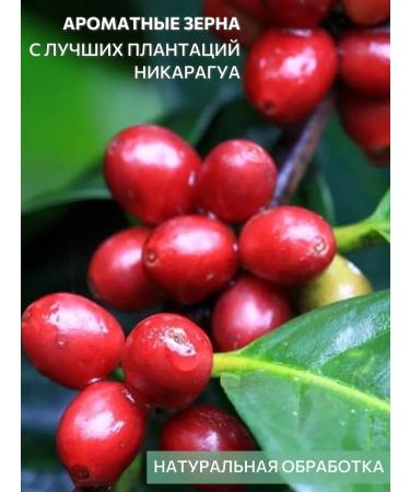 Spades-Coffee Coffee in grains of maragodzhip Nicaragua freshly -growed 1 kg - Buy Online on GoSupps.com