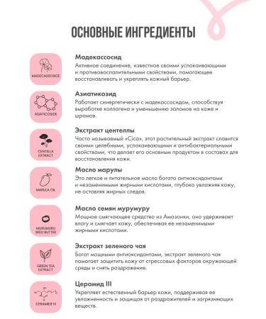 The Hoppa Facial cream with centella to restore CICA HOPP - Buy Online on GoSupps.com