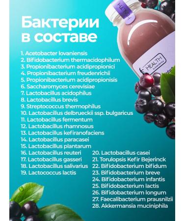 Health by Jonas Damkus Akkermansia oat drink with Aronia 750 ml 3 pcs - Buy Online on GoSupps.com