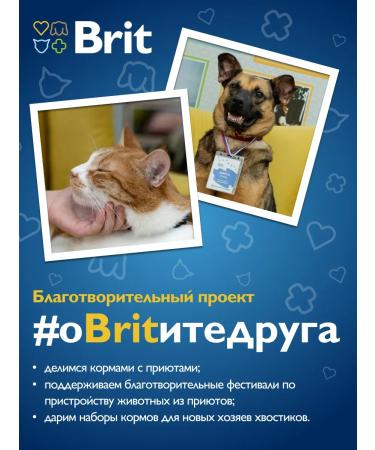 Brit Canned beef and dog liver 850gr - Buy Online on GoSupps.com