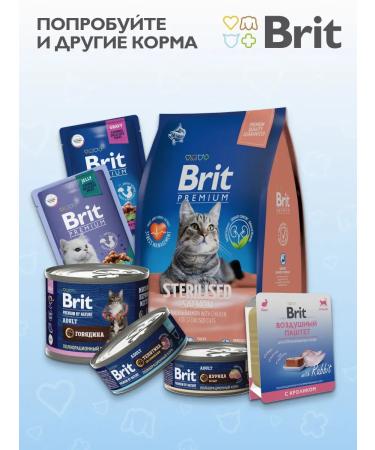 Brit Air paste with a lamb for cats with feelings. food 100g - Buy Online on GoSupps.com