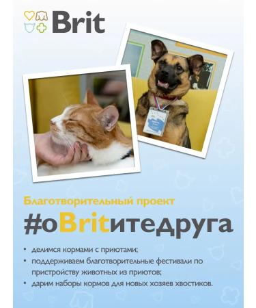 Brit Air paste with a lamb for cats with feelings. food 100g - Buy Online on GoSupps.com