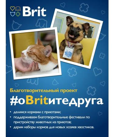 Brit Canned food with lamb and buckwheat for dogs with feelings. food 410g - Buy Online on GoSupps.com