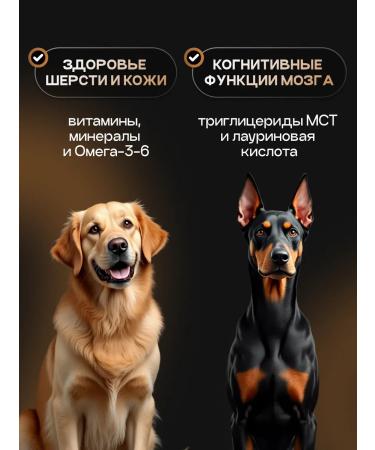 cosmodog Dry food for dogs 5 kg hypoallergenic with fish - Buy Online on GoSupps.com