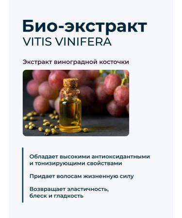 Trend Up Shampoo for blond hair professional - Buy Online on GoSupps.com