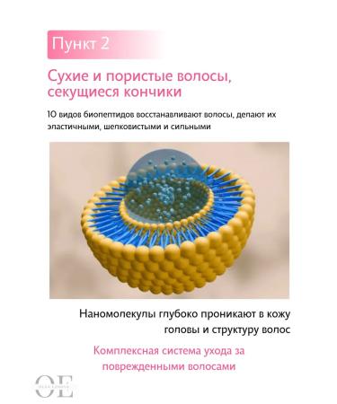 TS Booster for silky hair 100ml - Buy Online on GoSupps.com