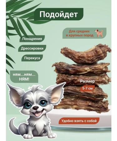 Dried chicken neck 15 pcs Ricci - Buy Online on GoSupps.com