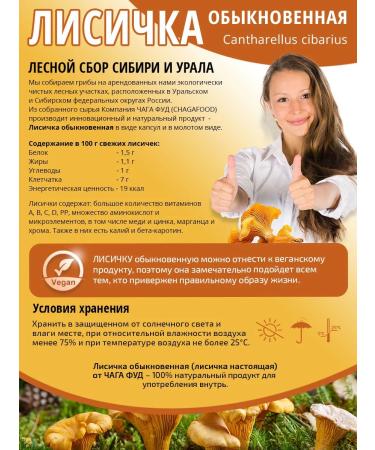 CHAGA FOOD COMPENT OF ANITY ANTIPRASITIAN in capsules 500 mg - Buy Online on GoSupps.com