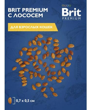 Brit Dry food with salmon for adult cats 400gr - Buy Online on GoSupps.com