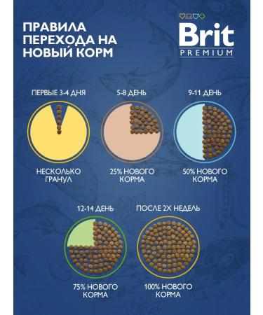 Brit Dry food with salmon for adult cats 400gr - Buy Online on GoSupps.com