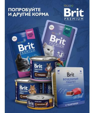 Brit Dry food with salmon for adult cats 400gr - Buy Online on GoSupps.com