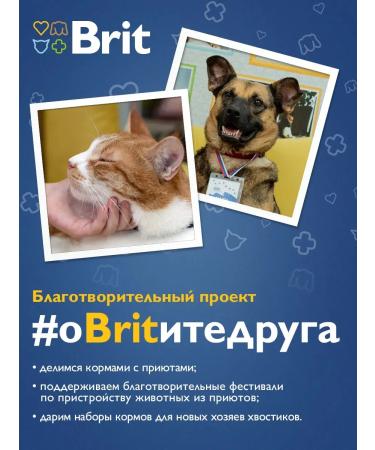 Brit Dry food with salmon for adult cats 400gr - Buy Online on GoSupps.com
