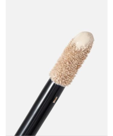 LOreal Paris Face concealer and corrector under the eye makeup - Buy Online on GoSupps.com