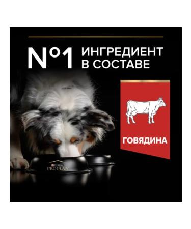 PRO PLAN Feed for dogs of medium and large breeds with beef 10 kg - Buy Online on GoSupps.com