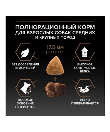 PRO PLAN Feed for dogs of medium and large breeds with beef 10 kg - Buy Online on GoSupps.com