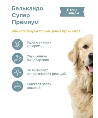 Feed for puppies wet Belcando chicken and egg 12x400 g - Buy Online on GoSupps.com