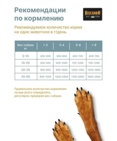 Feed for puppies wet Belcando chicken and egg 12x400 g - Buy Online on GoSupps.com