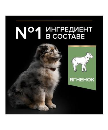 PRO PLAN Feed for medium -sized puppies with lamb 3 kg - Buy Online on GoSupps.com