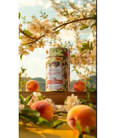 Basilur Fruit tea gift set - Buy Online on GoSupps.com
