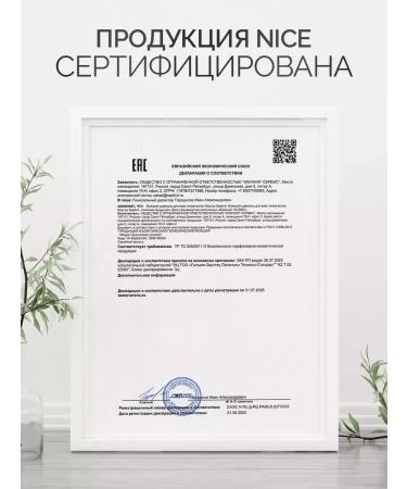 NICE by SEPTIVIT Professional hair shampoo men's 2B1 nice 1l - Buy Online on GoSupps.com