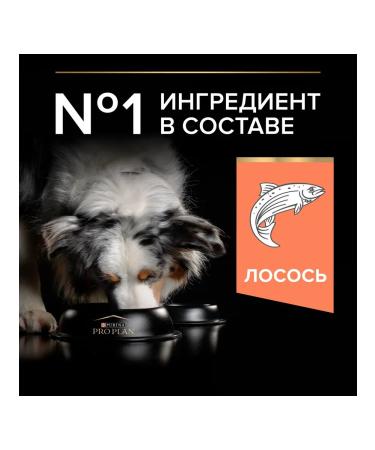 PRO PLAN Feed for dogs of medium breeds with sensation. skin with salmon 7 kg - Buy Online on GoSupps.com