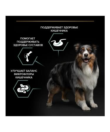 PRO PLAN Feed for dogs of medium breeds with feelings. food with a lamb 7kg - Buy Online on GoSupps.com