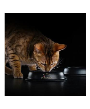 PRO PLAN For sterilized cats over 7 years old turkey 1.5 kg - Buy Online on GoSupps.com