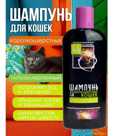 Shampoo for short -haired cats