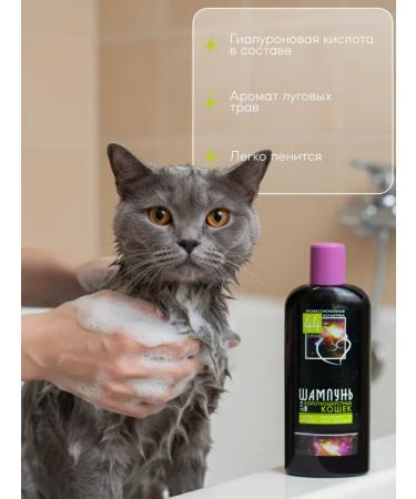 Shampoo for short -haired cats - Buy Online on GoSupps.com
