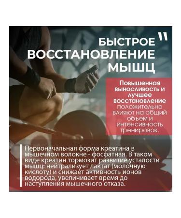 Miopharm Creatine monohydrate powder 300 g 100% micronized - Buy Online on GoSupps.com