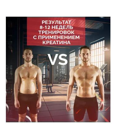 Miopharm Creatine monohydrate powder 300 g 100% micronized - Buy Online on GoSupps.com