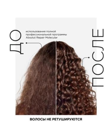 L'Oreal Professionnel L'Oreal absolut repair molecular hair mask 250ml - Buy Online on GoSupps.com