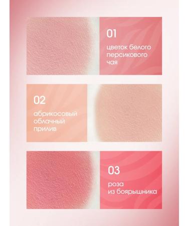 CosmoDemi Face blush in stick with sponge No. 2 - Buy Online on GoSupps.com