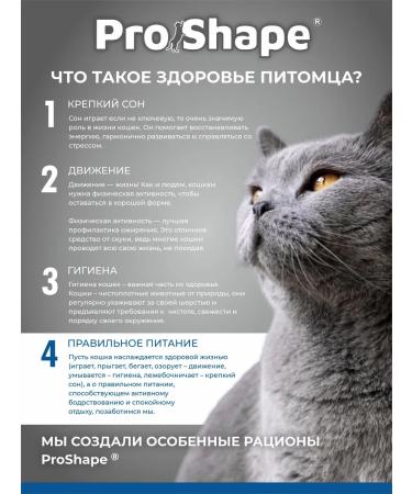 ProShape Wet food for elderly cats 28pcs of 75 g turkey in sauce - Buy Online on GoSupps.com