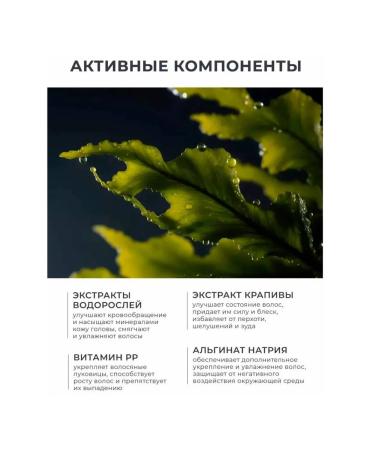 HOUSE OF NATURE Male shampoo strengthens against hair loss 250ml - Buy Online on GoSupps.com