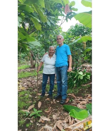 COCOA KRUTOV Cocoa tree seeds manual bulkhead Ecuador 500 gr - Buy Online on GoSupps.com