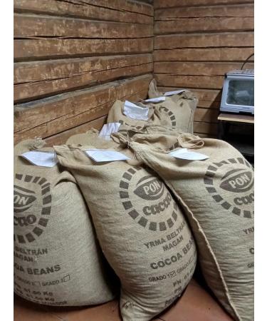 COCOA KRUTOV Cocoa tree seeds manual bulkhead Ecuador 500 gr - Buy Online on GoSupps.com