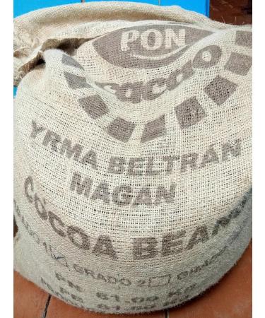 COCOA KRUTOV Cocoa tree seeds manual bulkhead Ecuador 500 gr - Buy Online on GoSupps.com