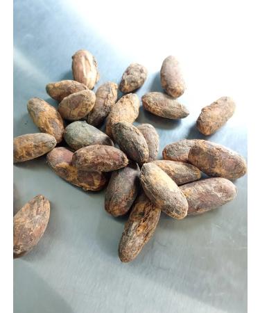 COCOA KRUTOV Cocoa tree seeds manual bulkhead Ecuador 500 gr - Buy Online on GoSupps.com