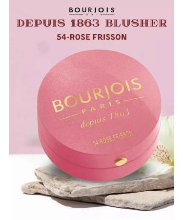 Bourjois Baked blush depuis 1863 Blusher